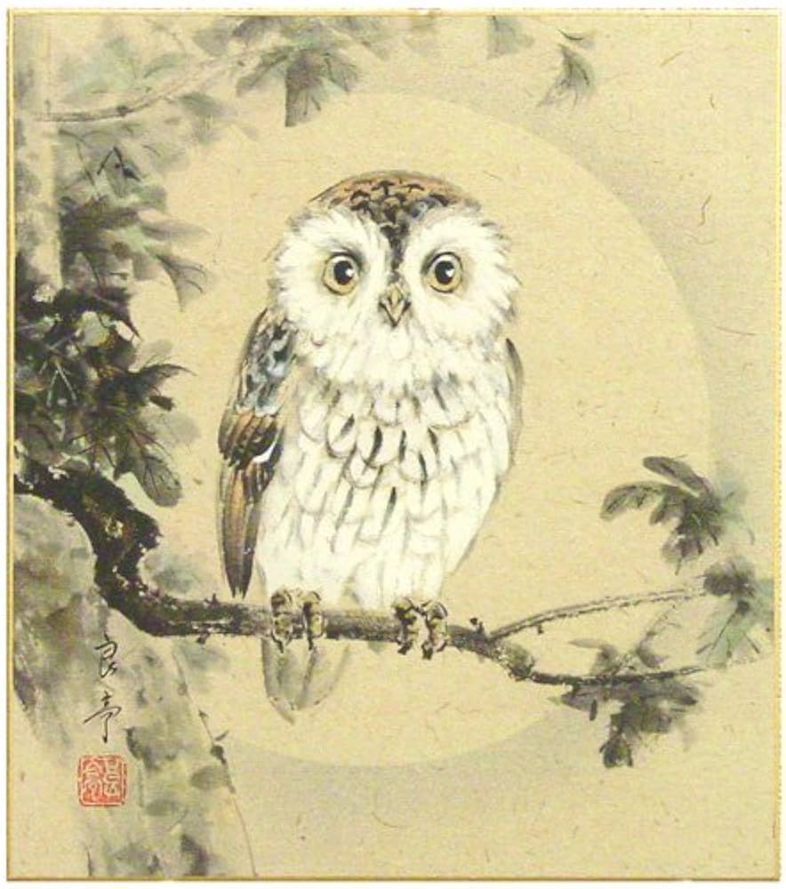 ふくろうの絵 色鉛筆画 ふくろう 絵画 makochin 通販 14688981｜Creema(クリーマ)